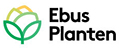 ebus_ftpv